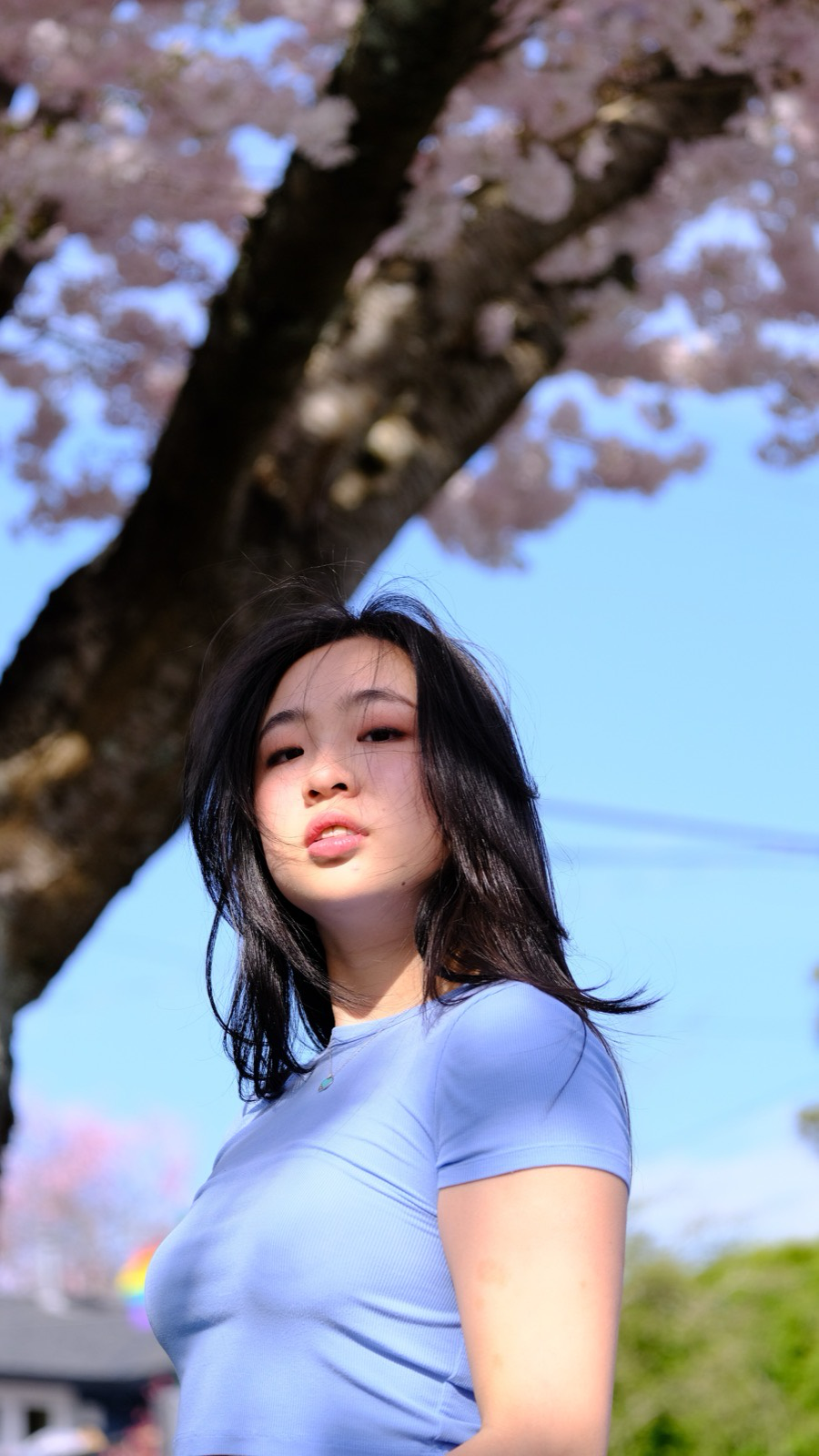 Portrait of Winnie Ma in blue beneath cherry blossoms